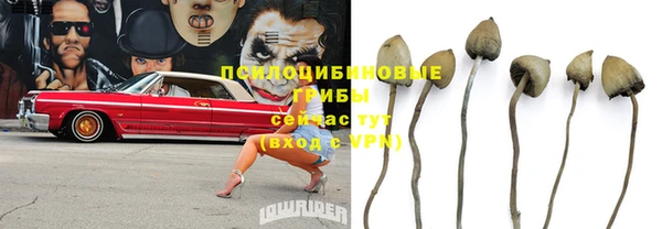спайс Володарск